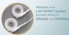 Lap Band System
